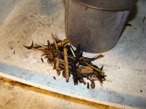 dit komt uit de slang - kijk hoe groot het is