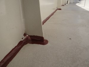DSC00003