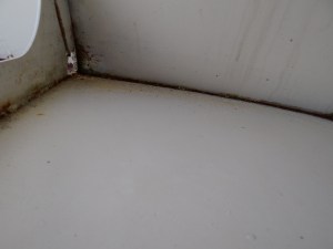 DSC00006