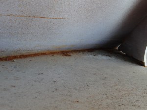 DSC00008