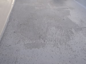 DSC00350
